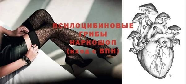 прущие грибы Белокуриха