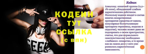 прущие грибы Белокуриха
