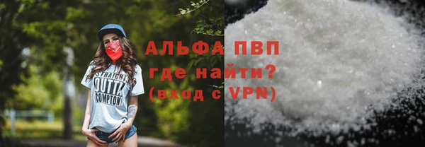 прущие грибы Белокуриха