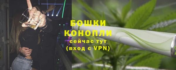 прущие грибы Белокуриха