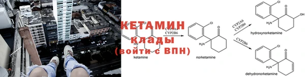 прущие крисы Беломорск