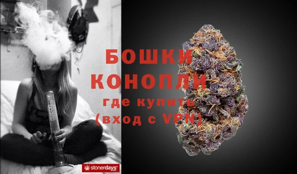 прущие грибы Белокуриха